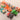 Playbox 12 Colorful Mini Construction Vehicles Little Wagon Cars Wooden Toy Set - PBC - 016