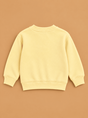 Playful Tiger Kids Sweatshirt - 1-2 Years Kids Winter Sweatshirts