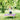 Plum Junior Bouncer - Kids Activity & Play Equipment