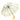 Popcorn Dino theme Dome style Transparent Umbrella for Kids, 1 - 5years - Monsoon Wear