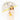 Popcorn Dino theme Dome style Transparent Umbrella for Kids, 1 - 5years - Monsoon Wear