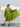 Power Palette Women's Dress Set With Jacket - WDRS - SK - PWPL - S