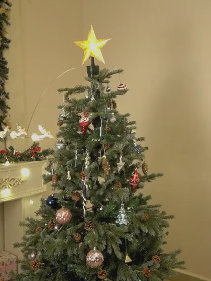 LSB-CMS-ANGELTOPR-MRCMS.mp4