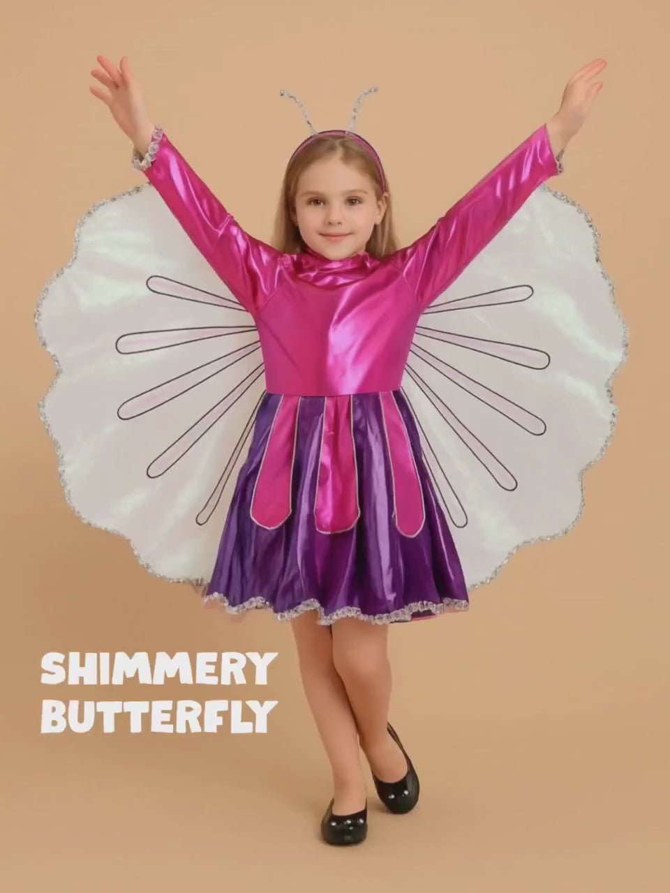 LSB-HWC-BUTTRFLY.mp4