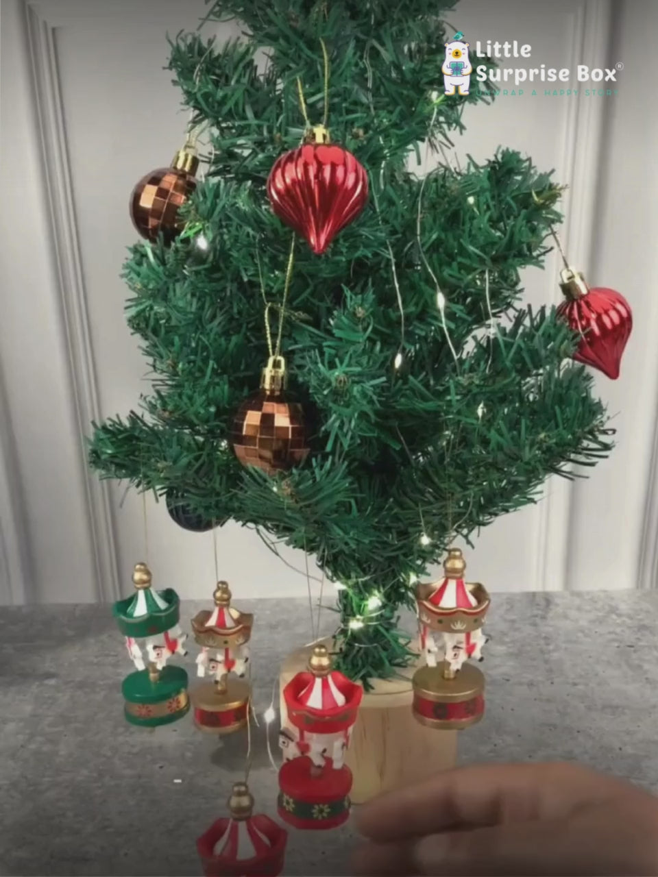 LSB-CMS-6CAROUSEL-TRO.mp4