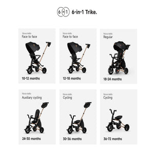 Qplay Trikes Nova Limited Edition Golden Black 10 to 72 Months - Tricycle
