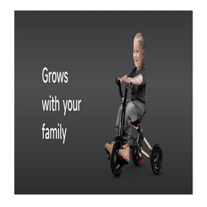 Qplay Trikes Nova Limited Edition Golden Black 10 to 72 Months - Tricycle