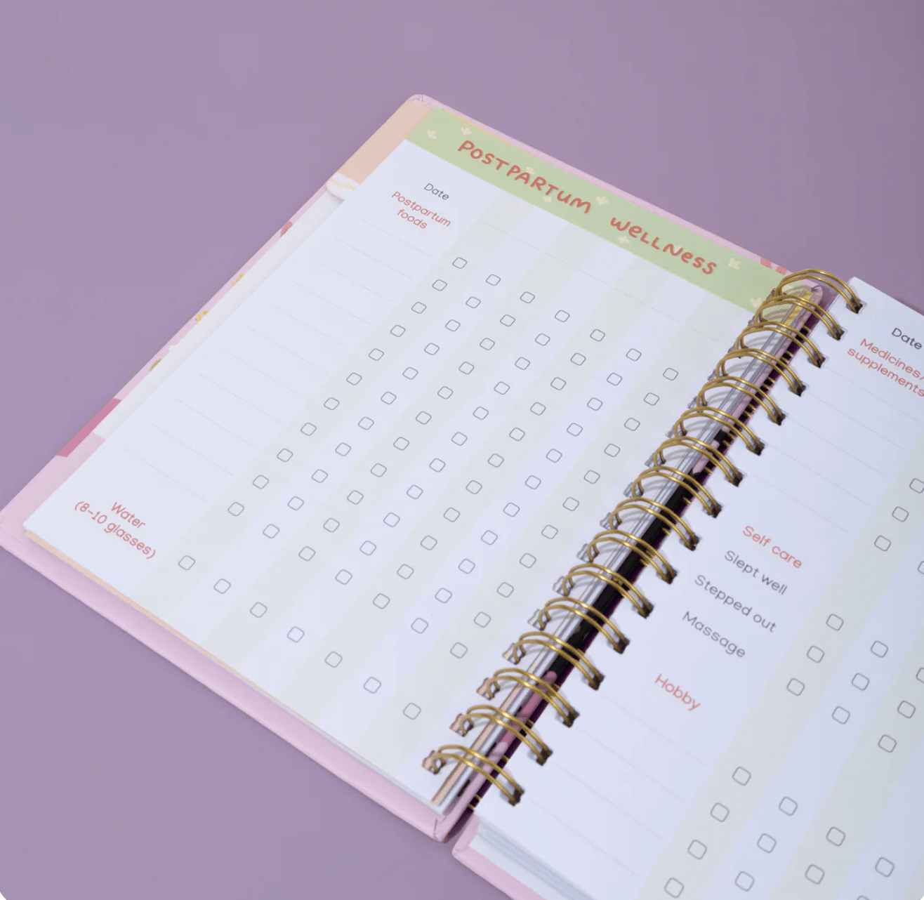 Qwirk Store The Postpartum Journal And Companion - Recover, Reflect and Reclaim yourself - Journal