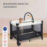 R for Rabbit Hide & Seek Elite- Black - CTHSEBL1