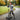 R for Rabbit Road Runner Jazz Foldable Kids Scooter - Scooter