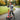 R for Rabbit Road Runner Jazz LED Wheels Kids Scooter - Scooter