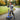 R for Rabbit Road Runner Jazz Scooter with LED Wheels - Scooter