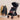 R for Rabbit Street Smart Stroller Gold Black Baby Gear - Baby Stroller & Prams