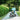 R for Rabbit Tiny Toes T30 Ace - Tricycle