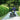 R for Rabbit Tiny Toes T30 Ace - Denim Blue - Tricycle
