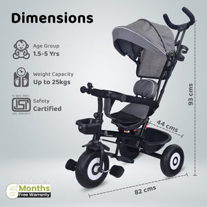 R for Rabbit Tiny Toes T40 Ace - Grey Black - Tricycle