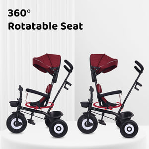 R for Rabbit Tiny Toes T40 Ace - Marron Black - Tricycle