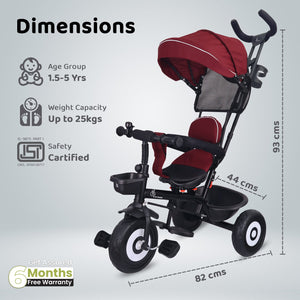R for Rabbit Tiny Toes T40 Ace - Marron Black - Tricycle