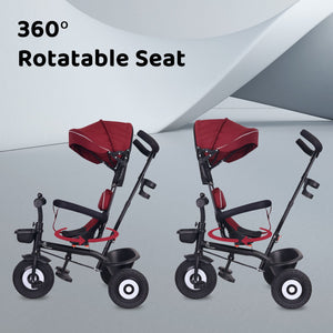 R for Rabbit Tiny Toes T40 Plus - Maroon Black - Tricycle