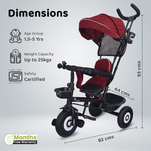 R for Rabbit Tiny Toes T40 Plus - Maroon Black - Tricycle
