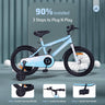 R for Rabbit Vroom Bicycle - 20Inch - BLVRLB20