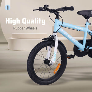 R for Rabbit Vroom Bicycle - 20Inch - Lake Blue Bicycle