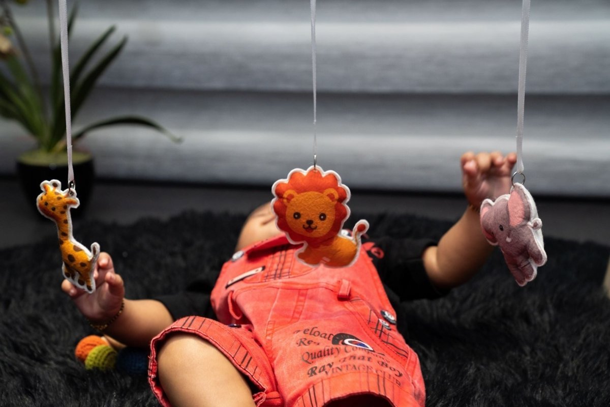Rocking Potato Baby Activity Play gym- Felt Animals - BAG-FANMLS
