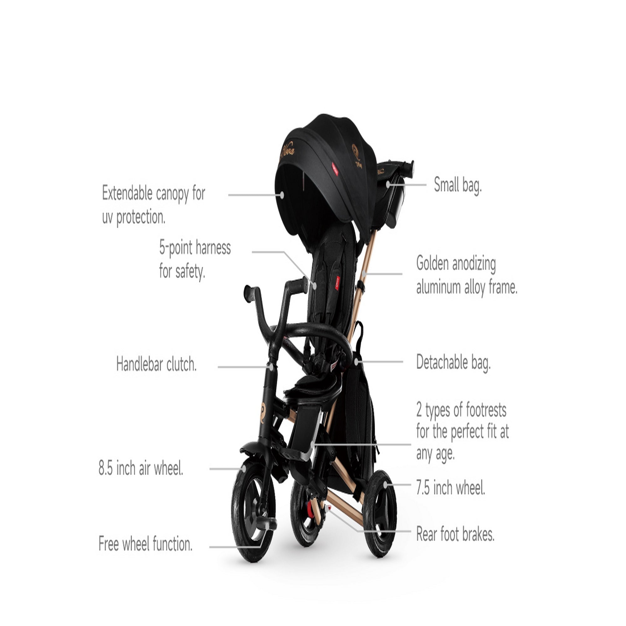 Qplay Trikes Nova Limited Edition Golden Black 10 to 72 Months