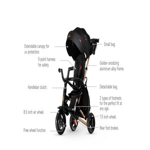 Qplay Trikes Nova Limited Edition Golden Black 10 to 72 Months - The Mom Store