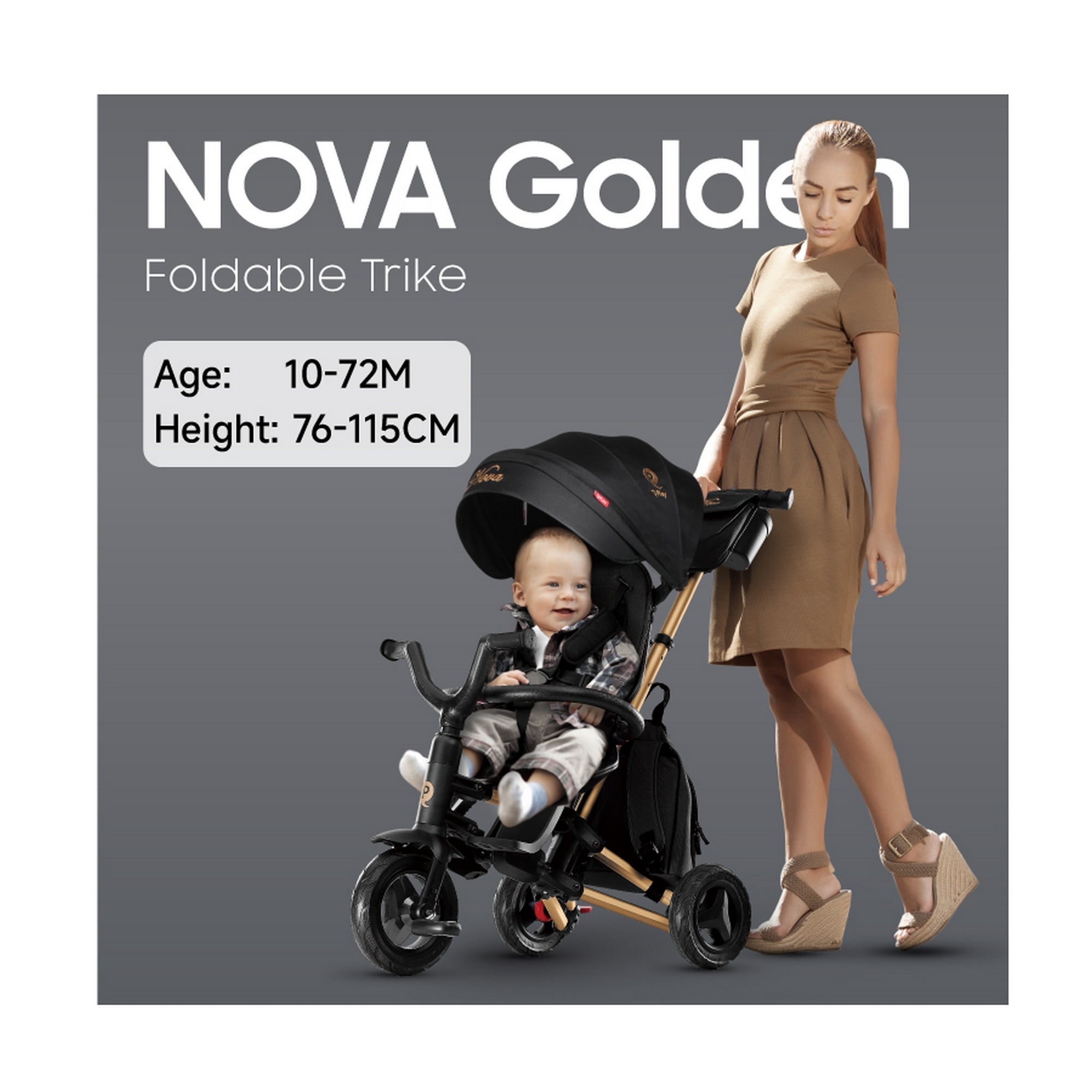 Qplay Trikes Nova Limited Edition Golden Black 10 to 72 Months