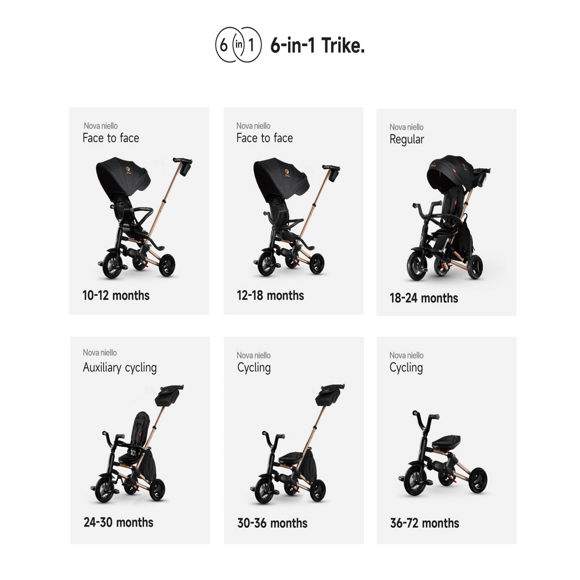 Qplay Trikes Nova Limited Edition Golden Black 10 to 72 Months