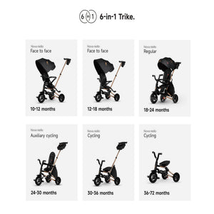 Qplay Trikes Nova Limited Edition Golden Black 10 to 72 Months - The Mom Store