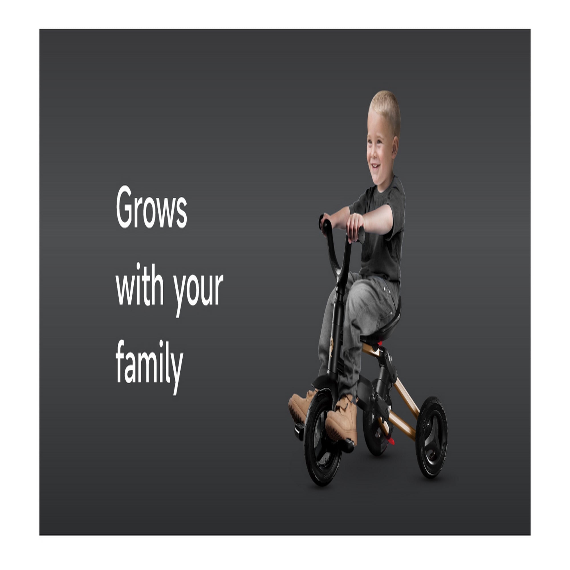 Qplay Trikes Nova Limited Edition Golden Black 10 to 72 Months