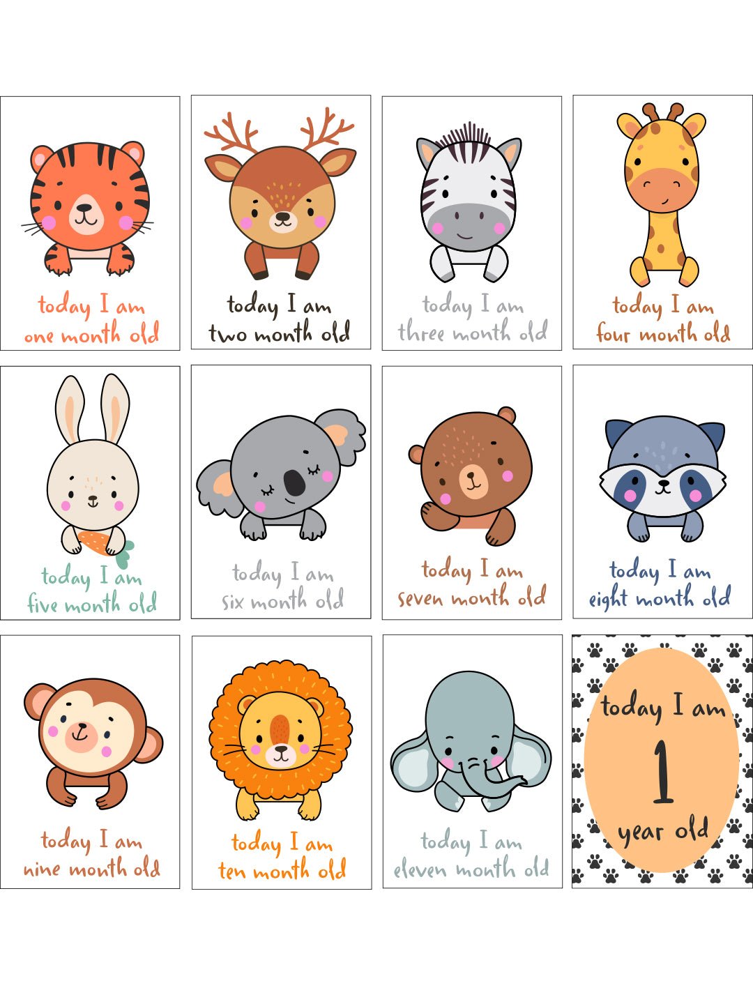 Safari Snuggles Milestone Cards - (Pack of 25) - MSCD - SFSN