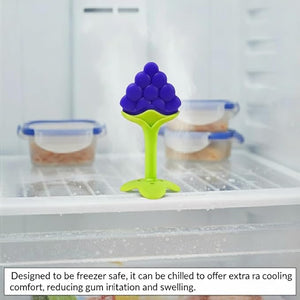 Safe - O - Kid BPA - Free Silicone Fruit Teether for Babies (Grapes Design) - Teether