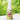 Safe - O - Kid Natural Baby Mosquito Repellent Spray, 8 - Hour Protection (50 ml) - Mosquito Repellent