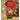 Santa in his Sledge Mini colorful LED Dome, Christmas Table Décor & Gift option - Christmas