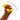 Scoobies Super Sticky Color Changing Ball - SC0001007