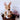 CuddleNest Kangaroo Soft Toy with Baby Joey Pouch – Ultra Soft & Cuddly Plush Animal for Kids