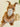 CuddleNest Squirrel Stuffed Animal Soft Toy | Brown Plush Toy with Apron & Tufted Ears