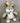 CuddleNest Plush Bunny Soft Toy | Cuddly Rabbit Teddy for Kids, Baby Girls & Gifting