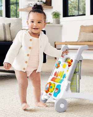 Skip Hop Explore & More Grow Along 4 - in - 1 Activity Walker Multicolour 6M to 48M - 9J057510