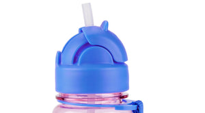 Skip Hop Tritan Renew Straw Bottle 12M to 36M - 9Q776410