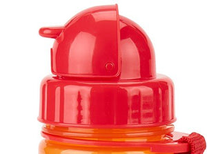 Skip Hop Zoo Straw Bottle Pp - Fox - 9N568310