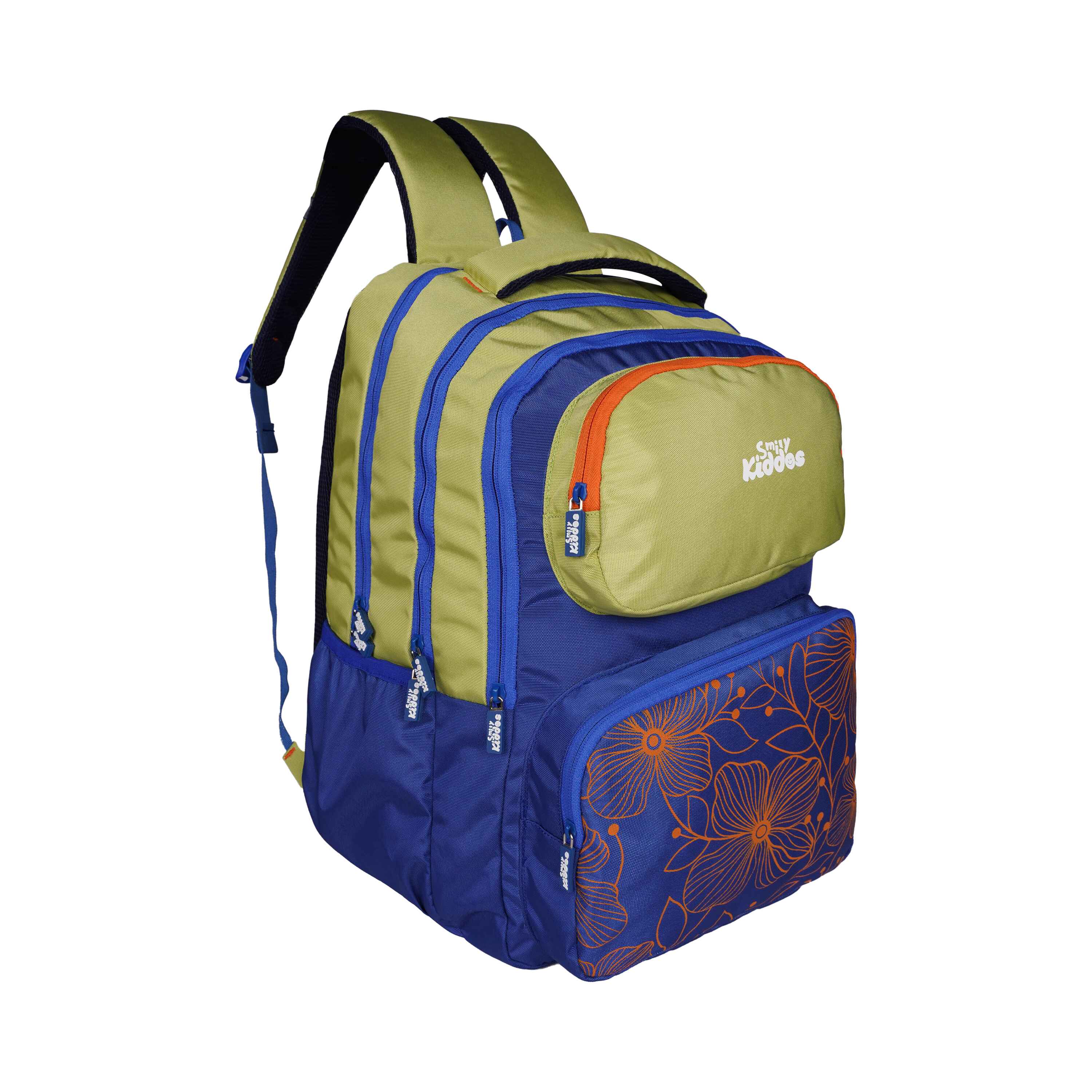 Smily Kiddos Giggle Laptop Backpack – Blue & Green with Rain Cover - MK11002295