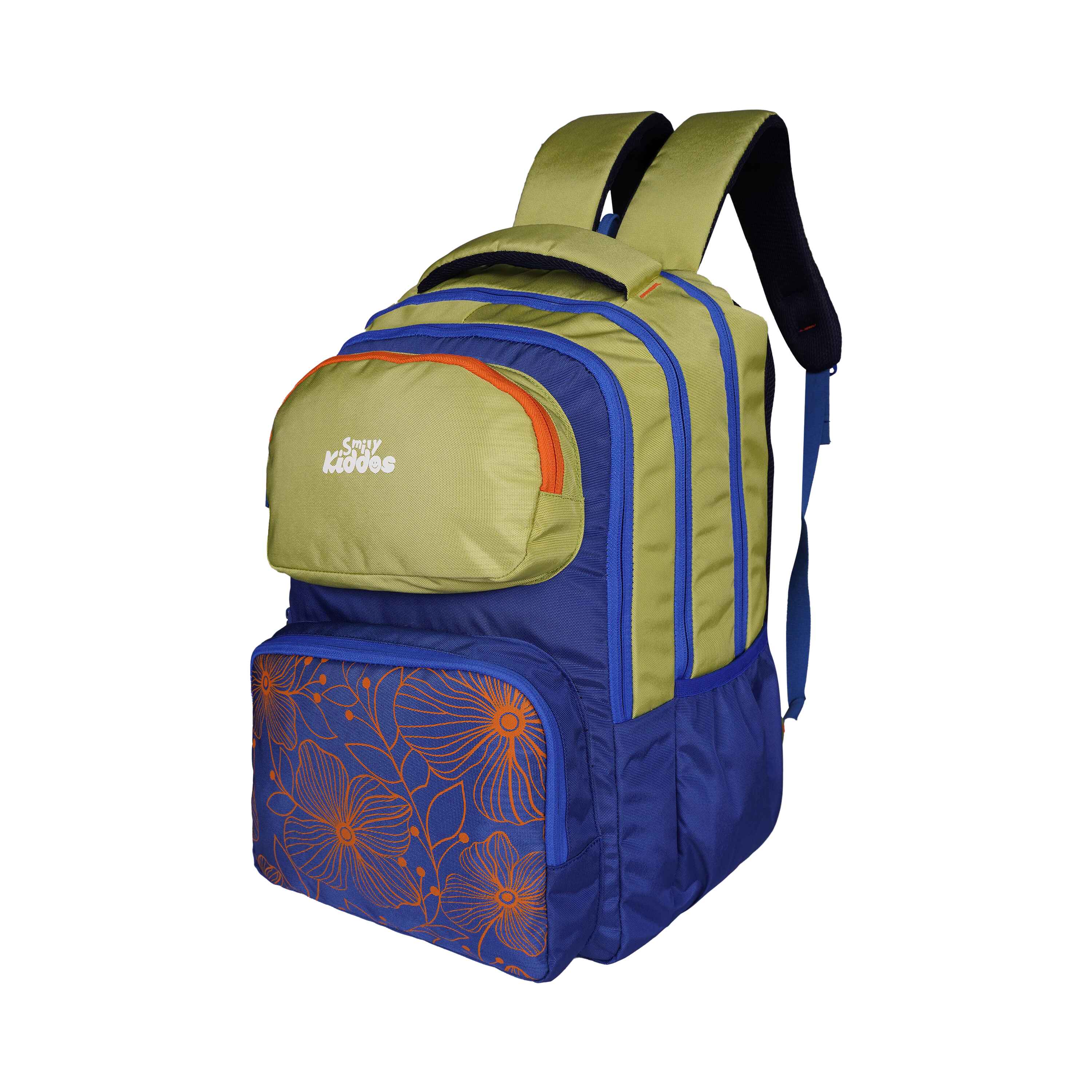Smily Kiddos Giggle Laptop Backpack – Blue & Green with Rain Cover - MK11002295