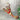 Split Reindeer christmas Décor and decoration for Home and Office - 