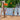 Step2 Adventure Lodge Play Center With Glider | Climber Playset - Baby Swings