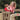 Step2 Naturally Playful Woodland Climber | Kids Climber Playset - Baby Swings