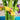 Step2 Summer Showers Splash Tower Water Table | Kids Water Table - Beach & Outdoor Accessories